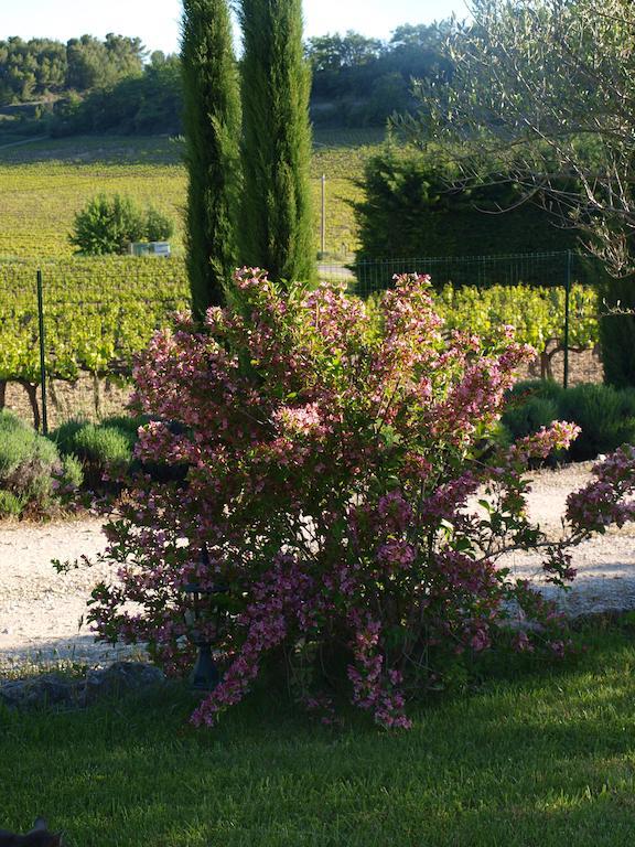Jardin D'Antan Bed & Breakfast Ansouis Eksteriør bilde