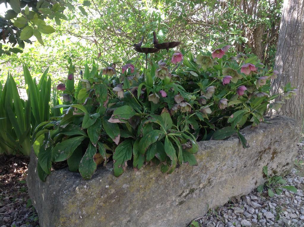 Jardin D'Antan Bed & Breakfast Ansouis Eksteriør bilde